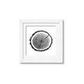 Picture of Log Slice I _GroupedProduct_Square_Photography _GroupedProduct_Square_Framed_Matted_