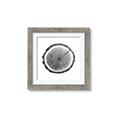 Picture of Log Slice I _GroupedProduct_Square_Photography _GroupedProduct_Square_Framed_Matted_