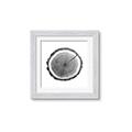 Picture of Log Slice I _GroupedProduct_Square_Photography _GroupedProduct_Square_Framed_Matted_