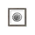 Picture of Log Slice I _GroupedProduct_Square_Photography _GroupedProduct_Square_Framed_Matted_