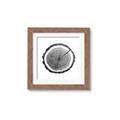 Picture of Log Slice I _GroupedProduct_Square_Photography _GroupedProduct_Square_Framed_Matted_