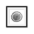 Picture of Log Slice I _GroupedProduct_Square_Photography _GroupedProduct_Square_Framed_Matted_