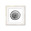 Picture of Log Slice I _GroupedProduct_Square_Photography _GroupedProduct_Square_Framed_Matted_