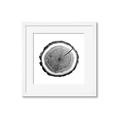 Picture of Log Slice I _GroupedProduct_Square_Photography _GroupedProduct_Square_Framed_Matted_