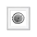 Picture of Log Slice I _GroupedProduct_Square_Photography _GroupedProduct_Square_Framed_Matted_