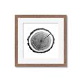 Picture of Log Slice I _GroupedProduct_Square_Photography _GroupedProduct_Square_Framed_Matted_