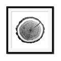 Picture of Log Slice I _GroupedProduct_Square_Photography _GroupedProduct_Square_Framed_Matted_