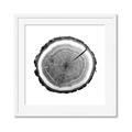 Picture of Log Slice I _GroupedProduct_Square_Photography _GroupedProduct_Square_Framed_Matted_