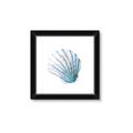 Picture of Watercolor shell III  _GroupedProduct_Square_Framed_Matted_