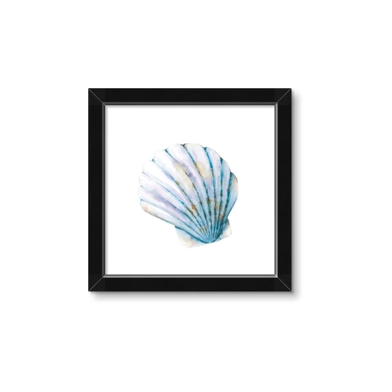 Picture of Watercolor shell III  _GroupedProduct_Square_Framed_Matted_