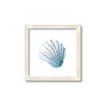Picture of Watercolor shell III  _GroupedProduct_Square_Framed_Matted_