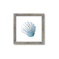 Picture of Watercolor shell III  _GroupedProduct_Square_Framed_Matted_