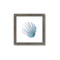 Picture of Watercolor shell III  _GroupedProduct_Square_Framed_Matted_