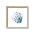 Picture of Watercolor shell III  _GroupedProduct_Square_Framed_Matted_