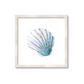Picture of Watercolor shell III  _GroupedProduct_Square_Framed_Matted_