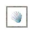 Picture of Watercolor shell III  _GroupedProduct_Square_Framed_Matted_
