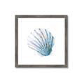 Picture of Watercolor shell III  _GroupedProduct_Square_Framed_Matted_