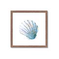 Picture of Watercolor shell III  _GroupedProduct_Square_Framed_Matted_