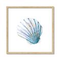 Picture of Watercolor shell III  _GroupedProduct_Square_Framed_Matted_