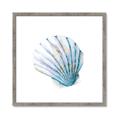 Picture of Watercolor shell III  _GroupedProduct_Square_Framed_Matted_