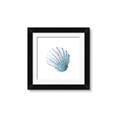 Picture of Watercolor shell III  _GroupedProduct_Square_Framed_Matted_