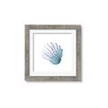Picture of Watercolor shell III  _GroupedProduct_Square_Framed_Matted_