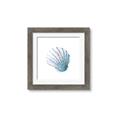 Picture of Watercolor shell III  _GroupedProduct_Square_Framed_Matted_