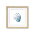 Picture of Watercolor shell III  _GroupedProduct_Square_Framed_Matted_