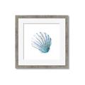 Picture of Watercolor shell III  _GroupedProduct_Square_Framed_Matted_