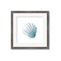 Picture of Watercolor shell III  _GroupedProduct_Square_Framed_Matted_