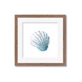 Picture of Watercolor shell III  _GroupedProduct_Square_Framed_Matted_