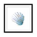Picture of Watercolor shell III  _GroupedProduct_Square_Framed_Matted_