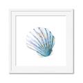 Picture of Watercolor shell III  _GroupedProduct_Square_Framed_Matted_