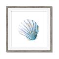 Picture of Watercolor shell III  _GroupedProduct_Square_Framed_Matted_