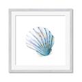 Picture of Watercolor shell III  _GroupedProduct_Square_Framed_Matted_