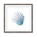 Picture of Watercolor shell III  _GroupedProduct_Square_Framed_Matted_