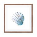 Picture of Watercolor shell III  _GroupedProduct_Square_Framed_Matted_