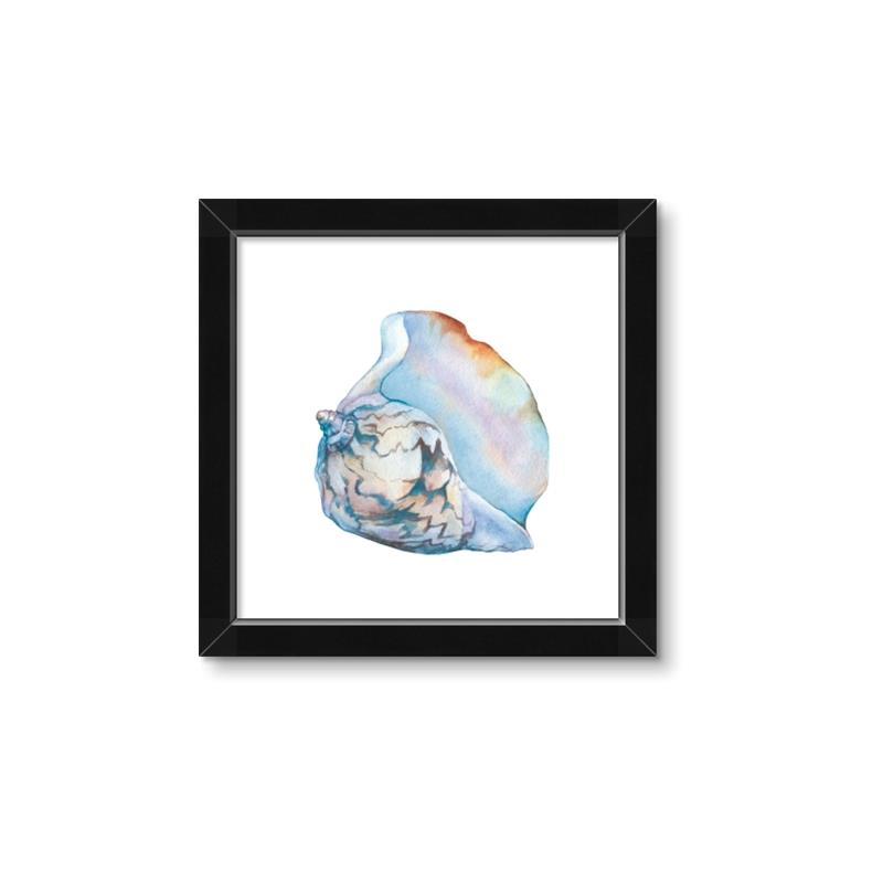 Picture of Watercolor shell I _GroupedProduct_Square_Framed_Matted_