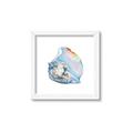 Picture of Watercolor shell I _GroupedProduct_Square_Framed_Matted_