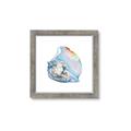 Picture of Watercolor shell I _GroupedProduct_Square_Framed_Matted_