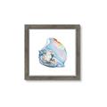 Picture of Watercolor shell I _GroupedProduct_Square_Framed_Matted_