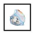Picture of Watercolor shell I _GroupedProduct_Square_Framed_Matted_