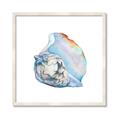 Picture of Watercolor shell I _GroupedProduct_Square_Framed_Matted_