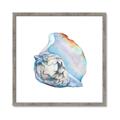 Picture of Watercolor shell I _GroupedProduct_Square_Framed_Matted_