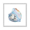 Picture of Watercolor shell I _GroupedProduct_Square_Framed_Matted_