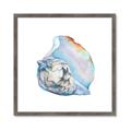 Picture of Watercolor shell I _GroupedProduct_Square_Framed_Matted_