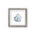 Picture of Watercolor shell I _GroupedProduct_Square_Framed_Matted_