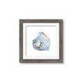 Picture of Watercolor shell I _GroupedProduct_Square_Framed_Matted_