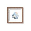 Picture of Watercolor shell I _GroupedProduct_Square_Framed_Matted_