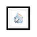 Picture of Watercolor shell I _GroupedProduct_Square_Framed_Matted_